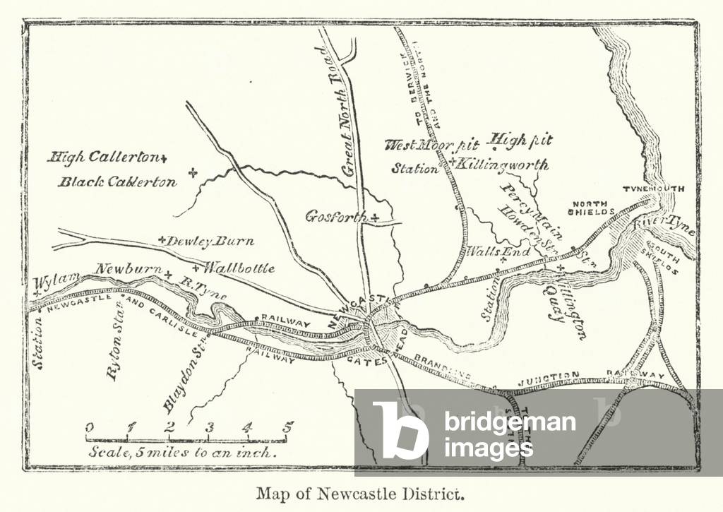 Map of Newcastle District (engraving)