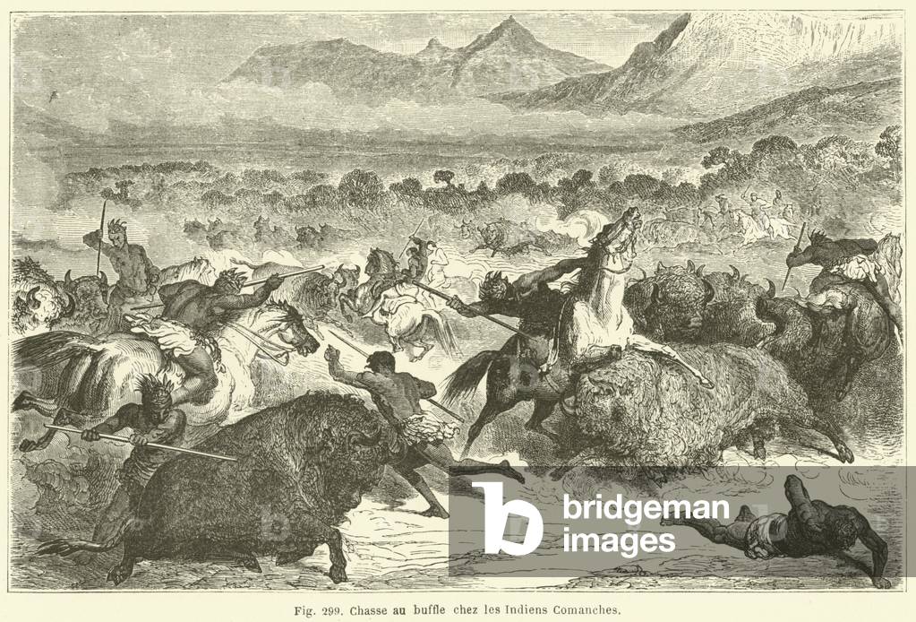 Chasse au buffle chez les Indiens Comanches (engraving)