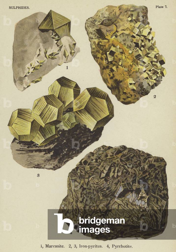 Sulphides, marcasite, iron-pyrites, pyrrhotite (colour litho)