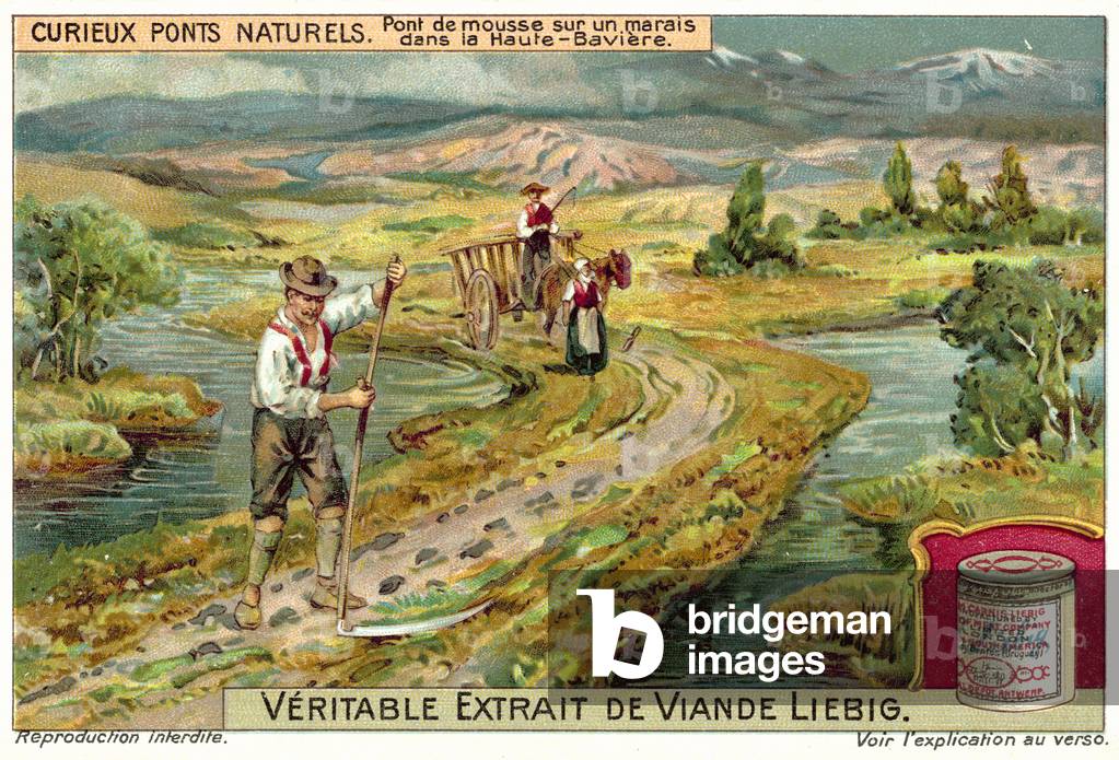 Moss bridge in a bog in Upper Bavaria (chromolitho)