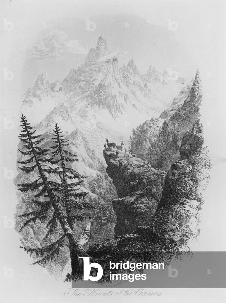The Haunts of the Chamois (engraving)