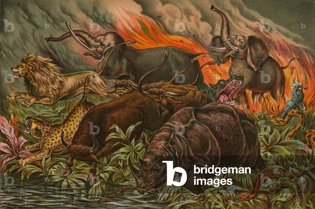 Wild game of Africa fleeing before fire (chromolitho)