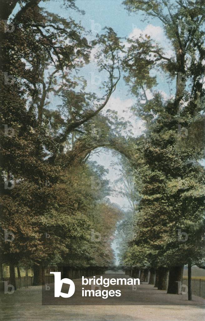 The Broad Walk (photo)