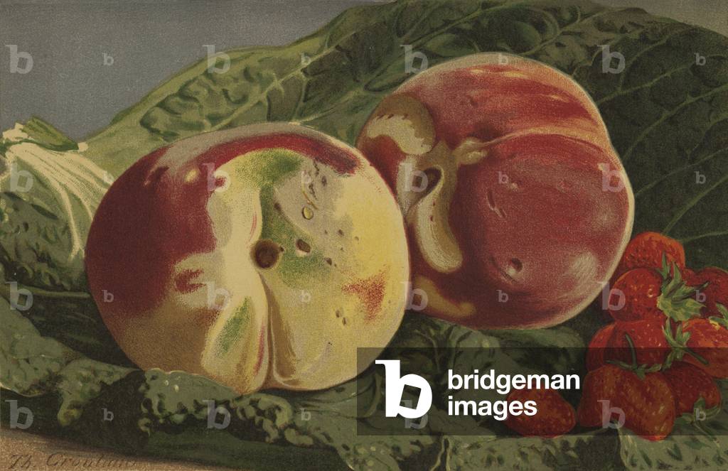 Peaches and Strawberries (chromolitho)