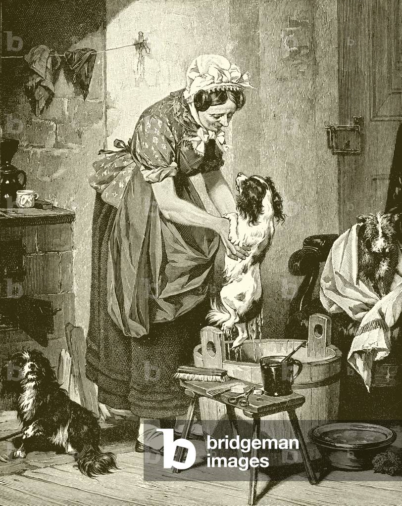 Order of the bath (engraving)