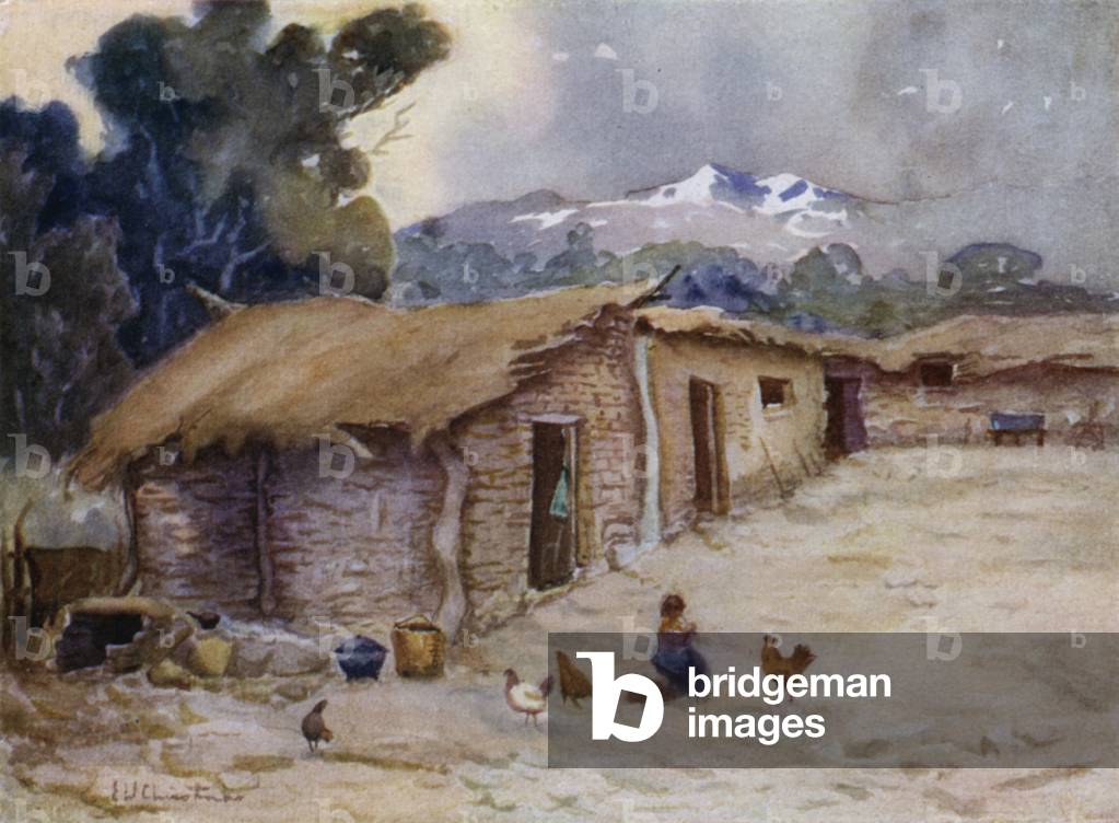 A Paisano's hut on the Chilian frontier (colour litho)