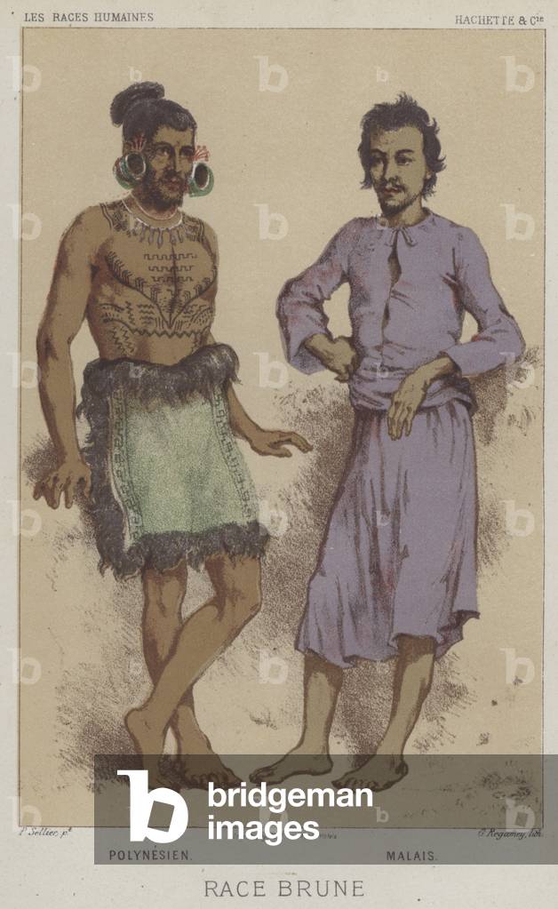 Race Brune, Polynesien, Malais (chromolitho)