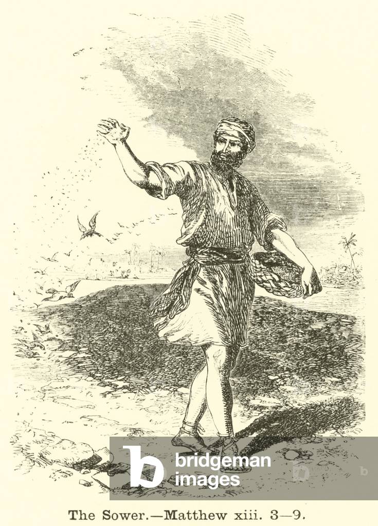 The Sower, Matthew, xiii, 3, 9 (engraving)