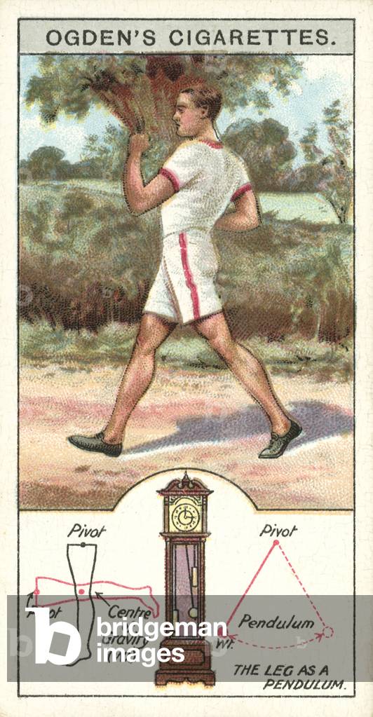 Marvels of Motion, The Leg as a Pendulum (chromolitho)