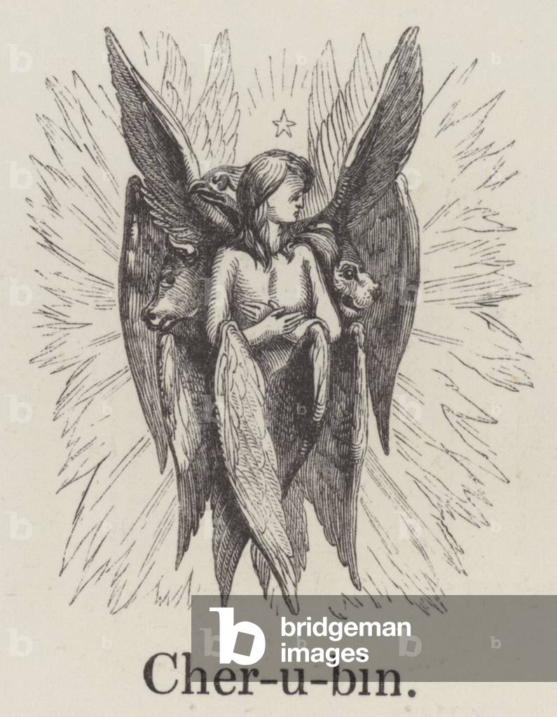 Cherubin (engraving)