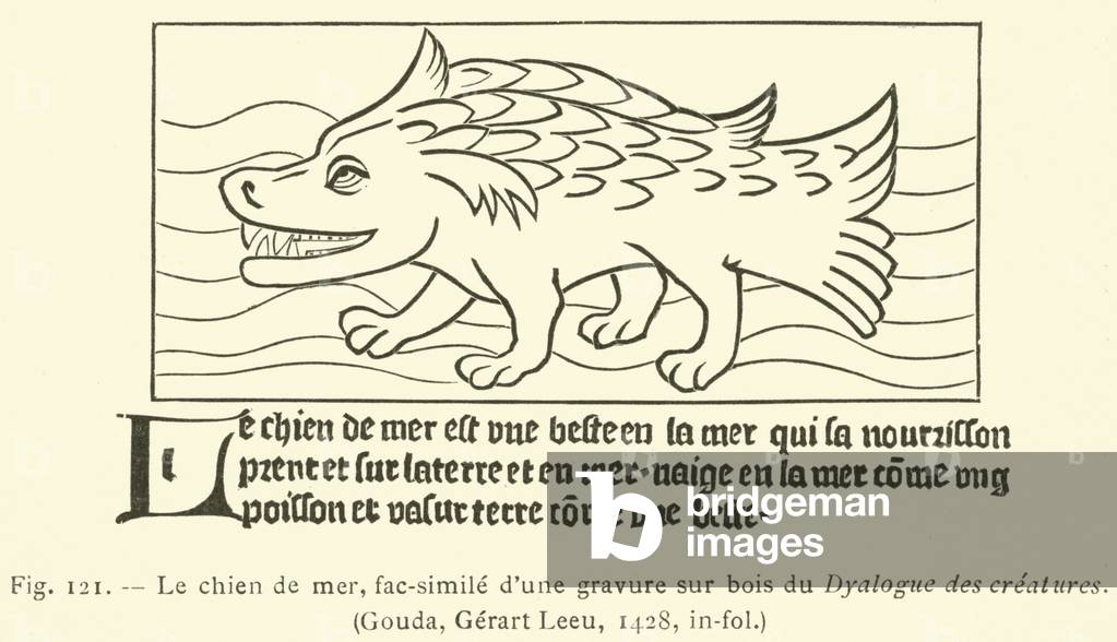 Le chien de mer (engraving)