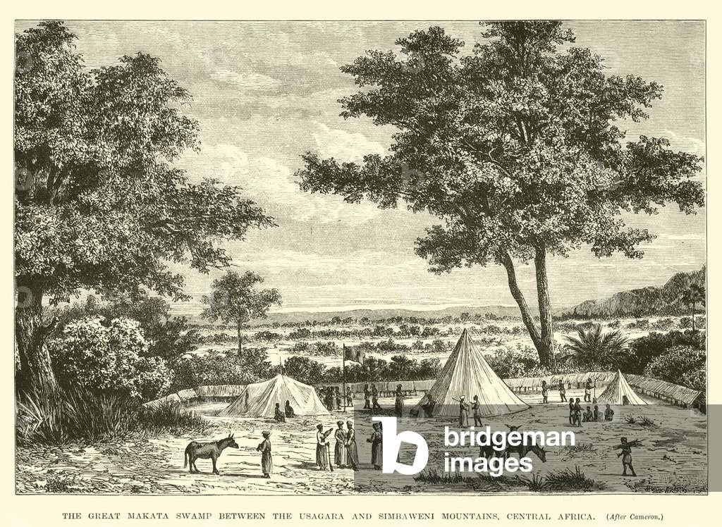 The Great Makata Swamp between the Usagara and Simbaweni Mountains, Central Africa (engraving)