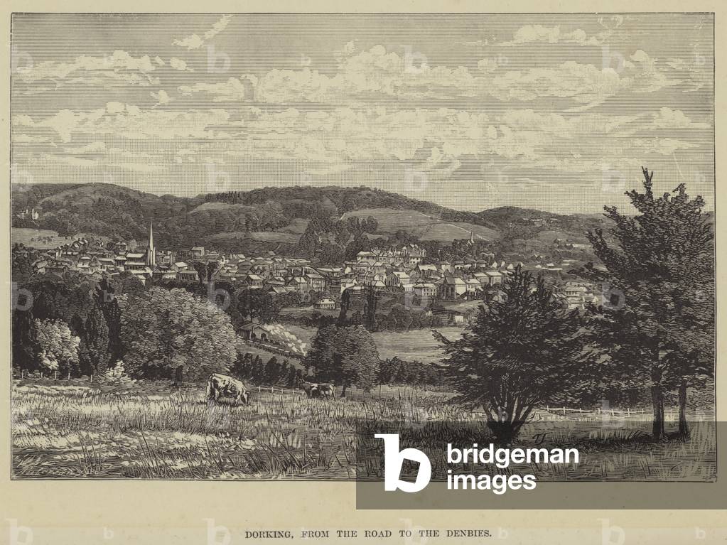 Dorking, from the Road to the Denbies (engraving)