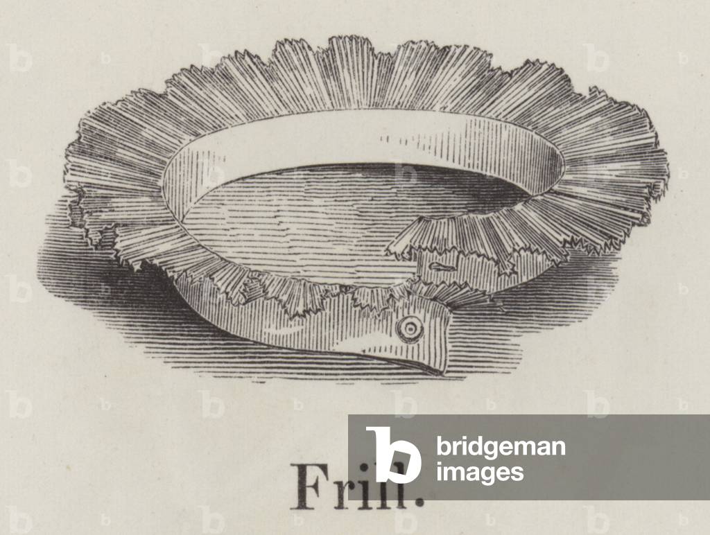 Frill (engraving)