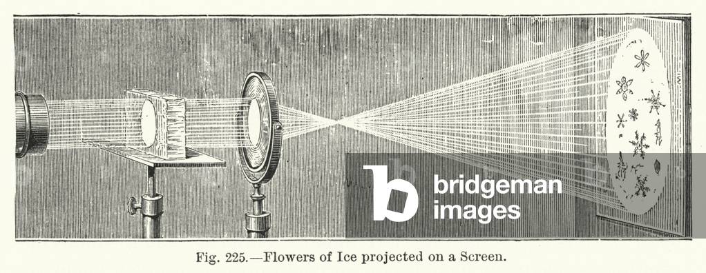 Flowers of Ice projected on a Screen (engraving)
