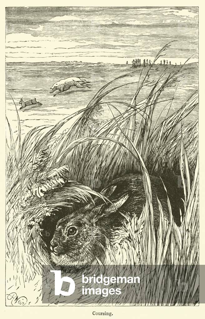 Coursing (engraving)
