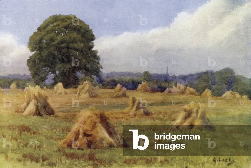 Drying Sheaves (colour litho)