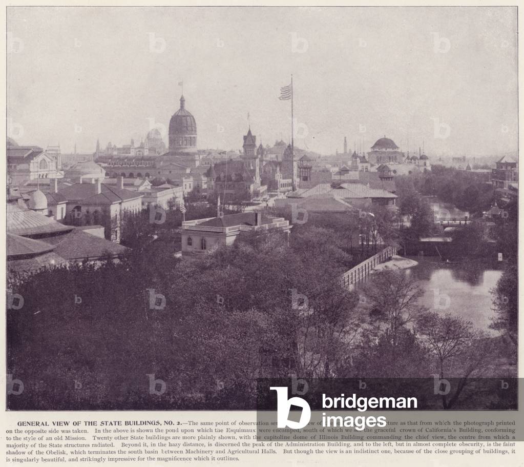 Chicago World's Fair, 1893: General View of State Buildings, No 2 (b/w photo)