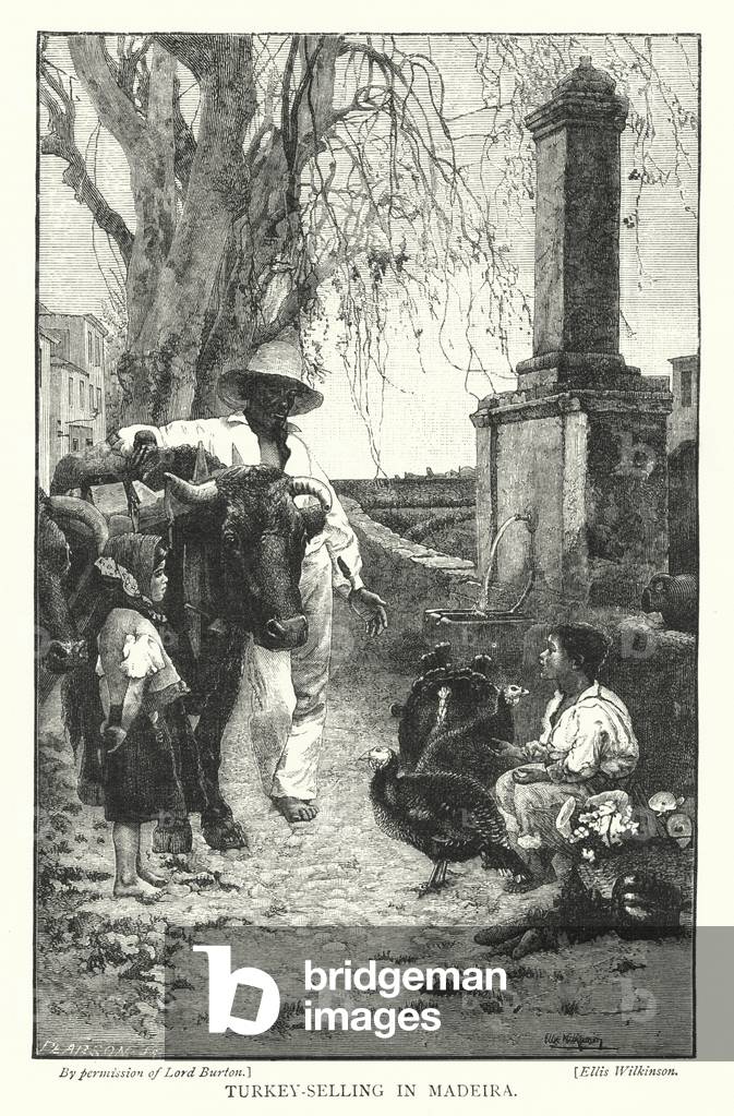 Turkey-Selling in Madeira (engraving)