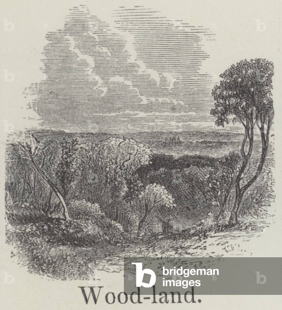 Woodland (engraving)