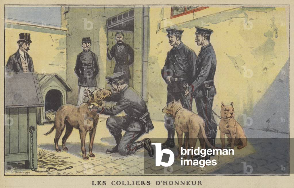 Police dogs being awarded collars of honour (colour litho)