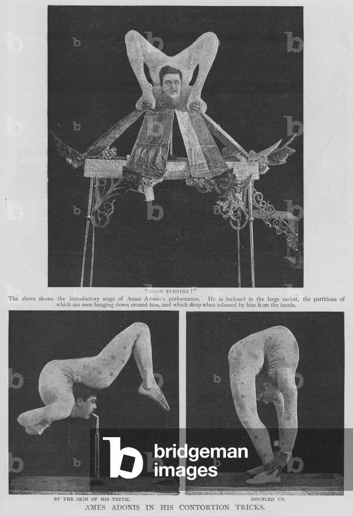 Ames Adonis in his Contortion Tricks (engraving)