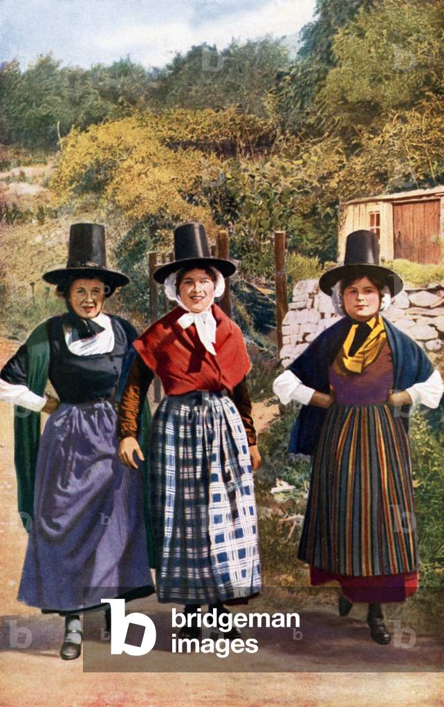 Wales: Land Lassies in a country lane (colour photo)