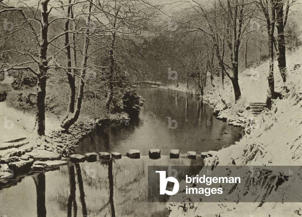 Newcastle Upon Tyne: Jesmond Dene in Winter (b/w photo)