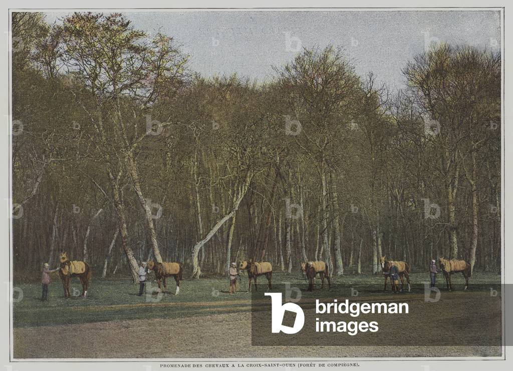 Exercising racehorses at La Croix-Saint-Ouen in the Foret de Compiegne, France (colour photo)