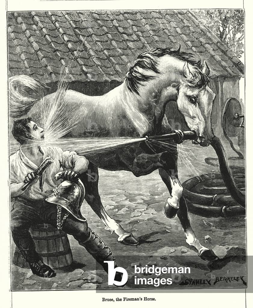 Bruce, the Fireman's Horse (engraving)