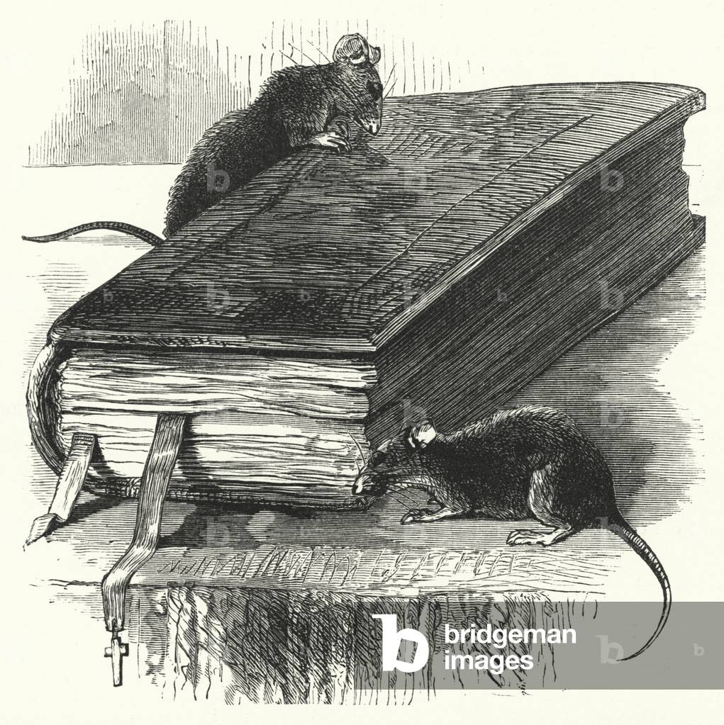 The Church Mouse (engraving)