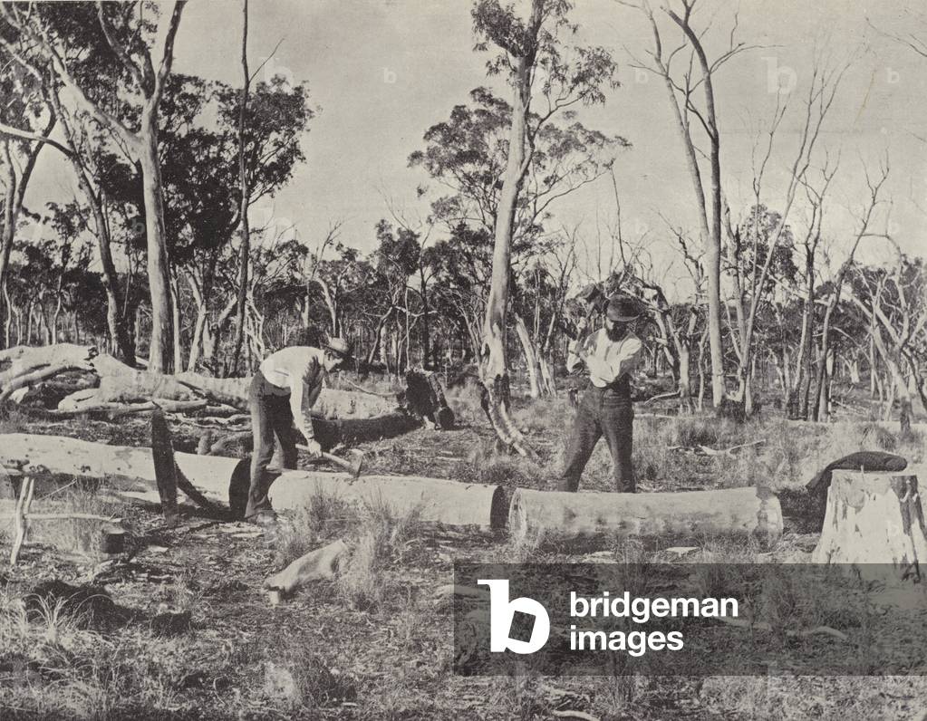 Timber Splitters at work (b/w photo)