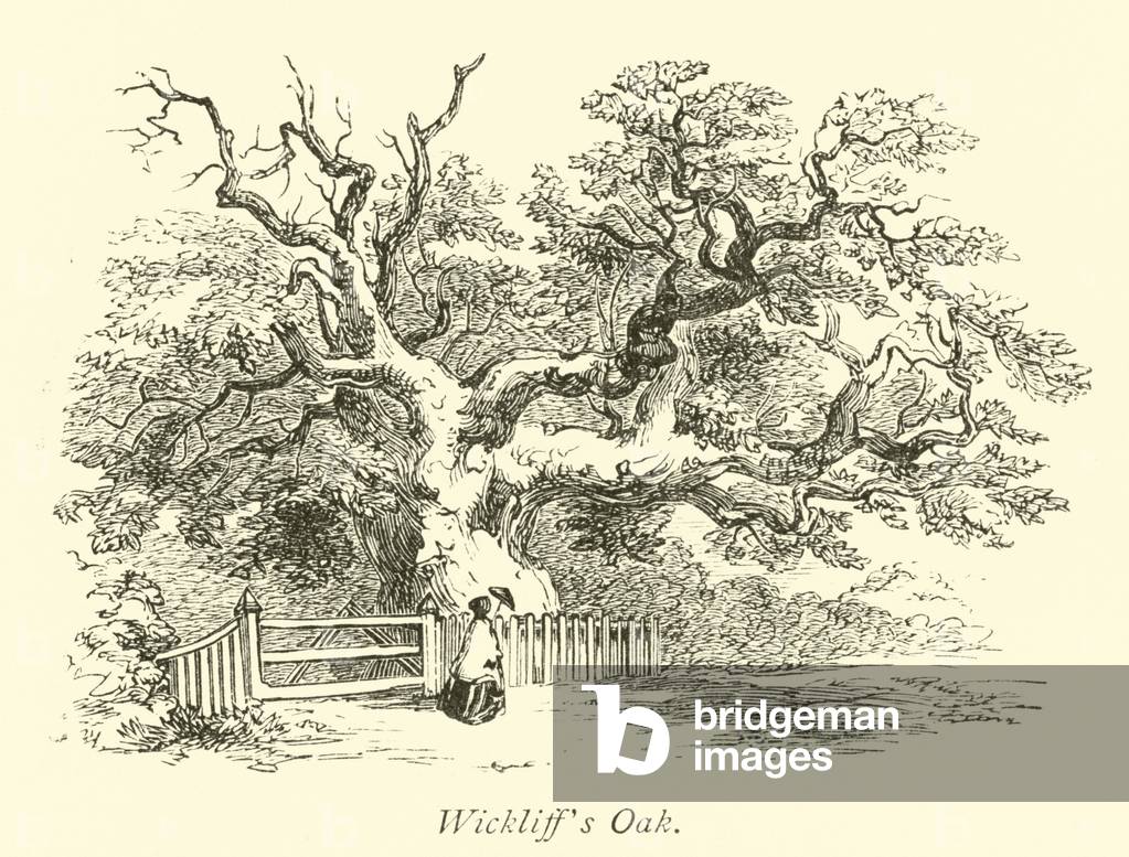 Wickliff's Oak (engraving)