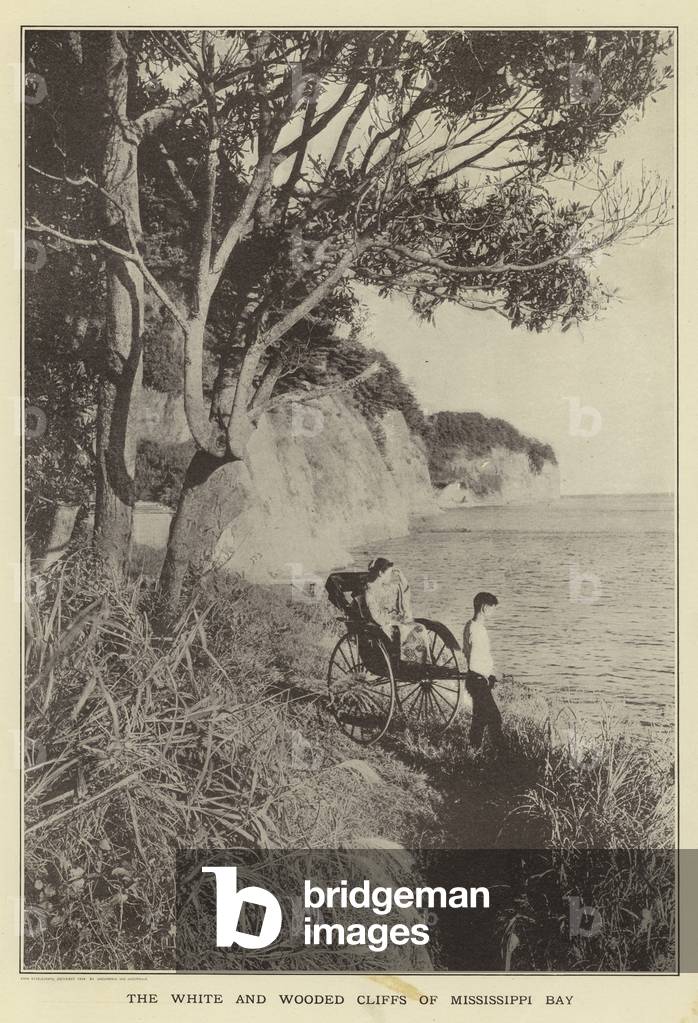 The white and wooded cliffs of Mississippi Bay (b/w photo)