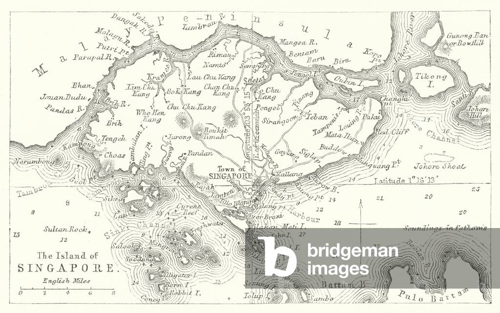 The Island of Singapore (engraving)