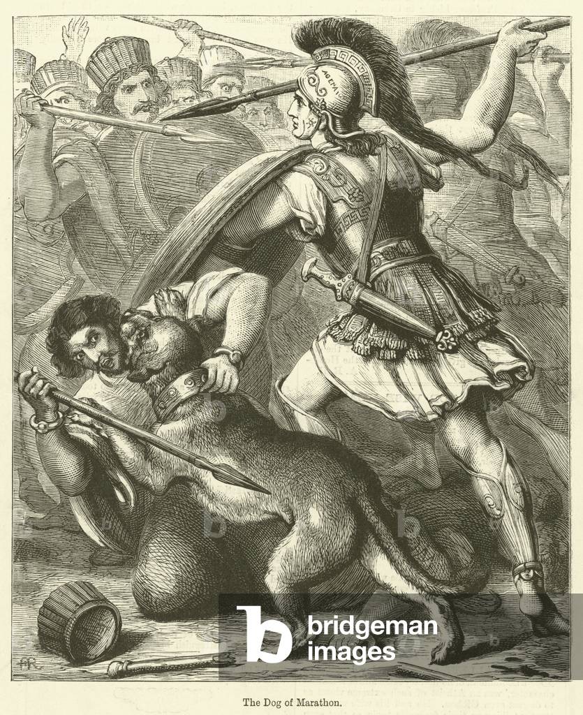 The Dog of Marathon (engraving)