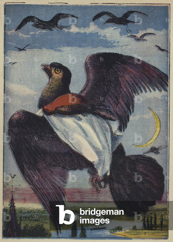 The Kite and Cock Robin (colour litho)