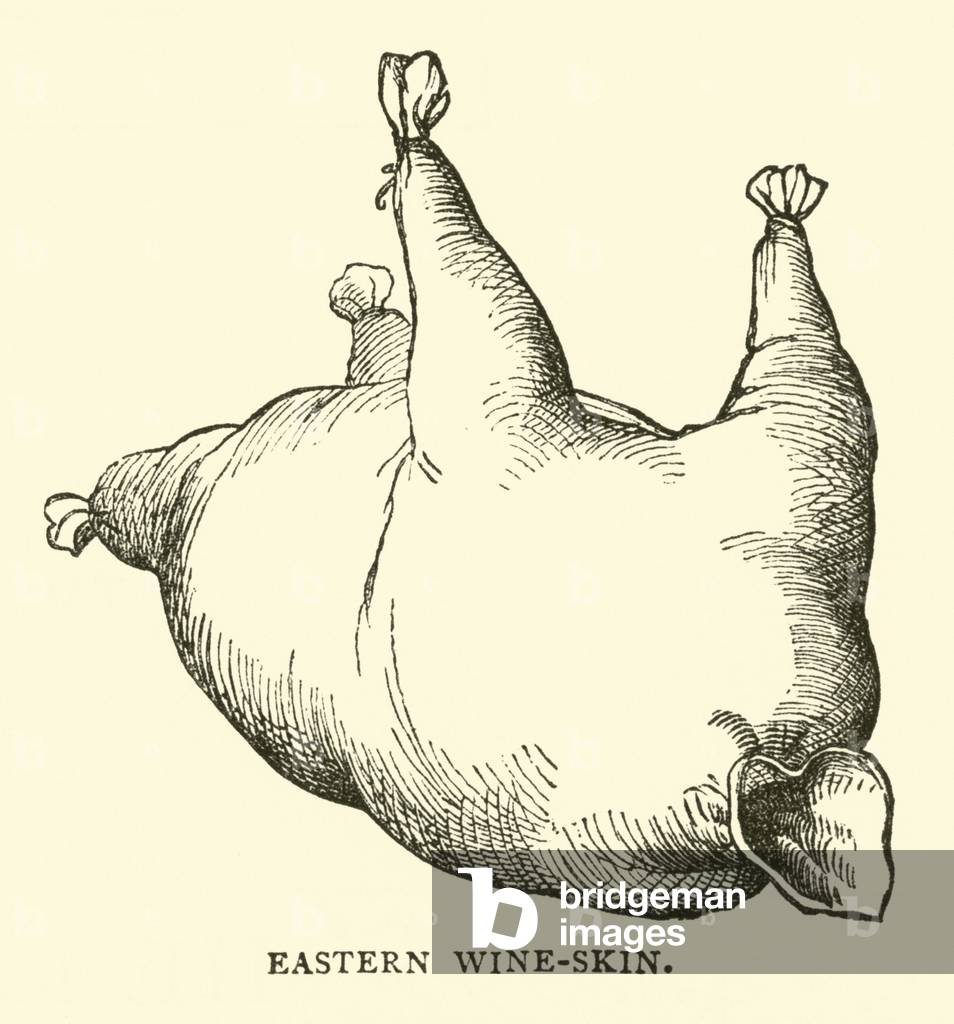 Eastern wine-skin (engraving)