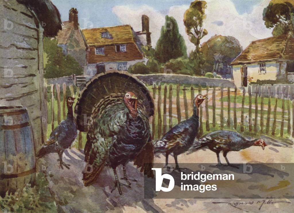 Illustration for My Farm (colour litho)