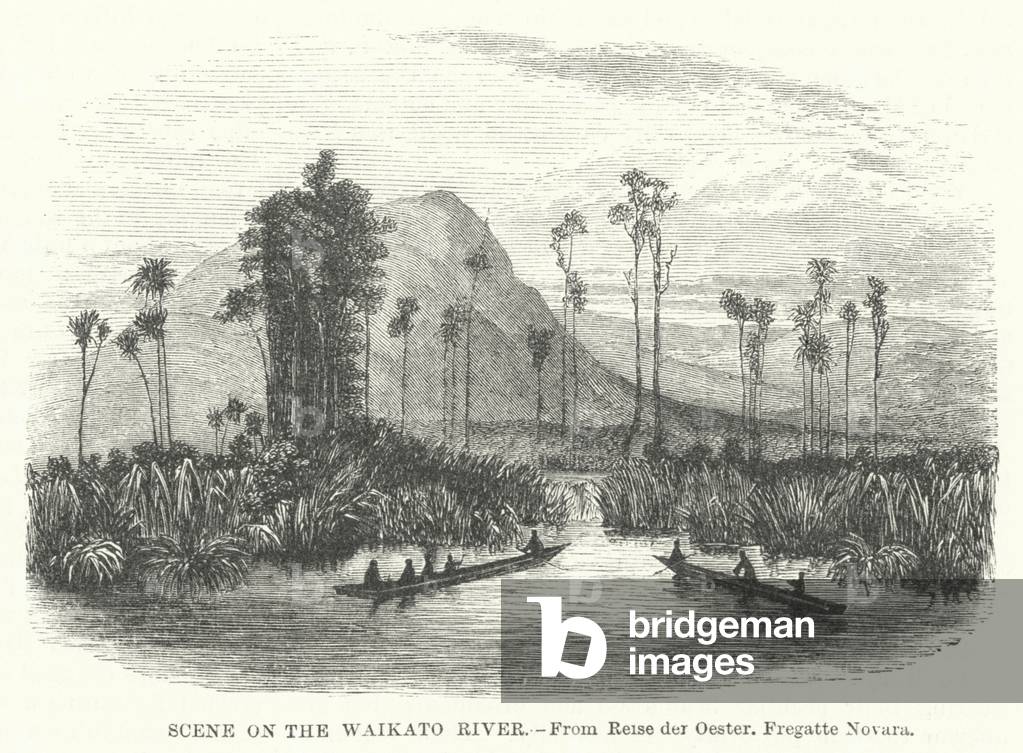 Scene on the Waikato River (engraving)