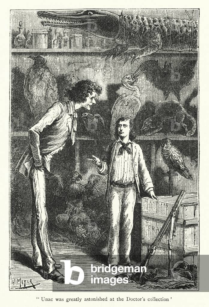 Unac was greatly astonished at the doctor's collection (engraving)