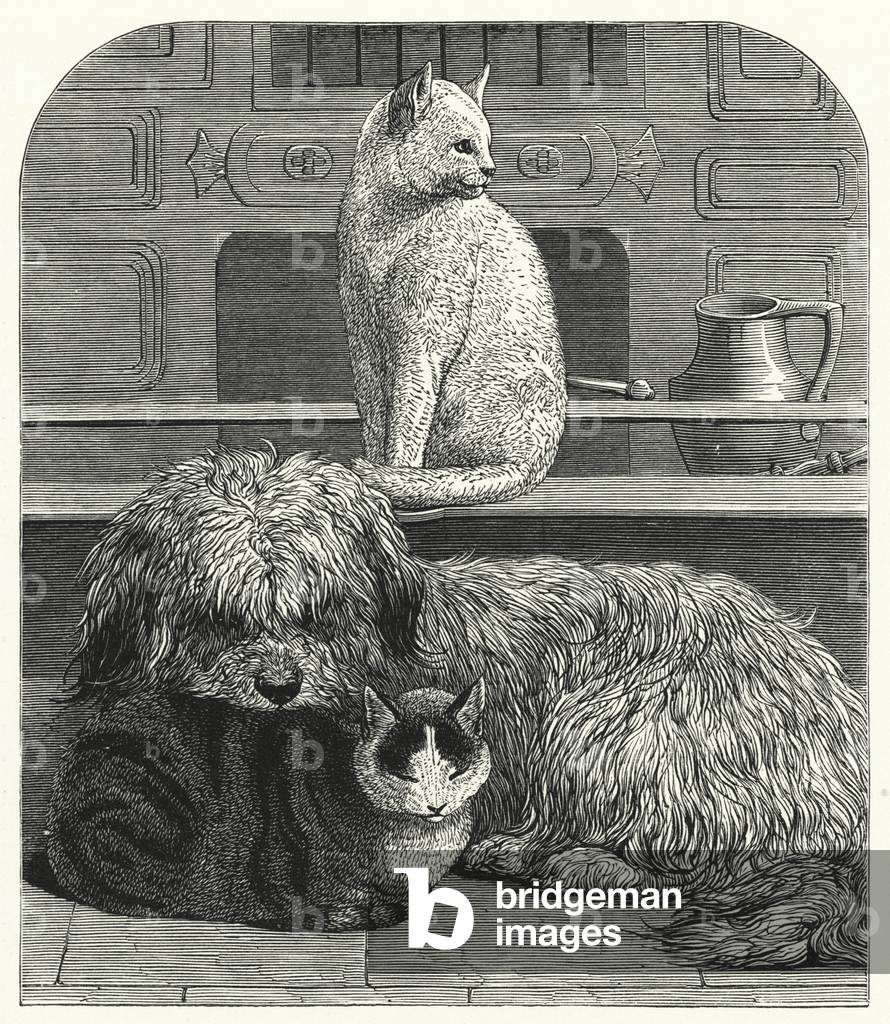 Two cats and a dog contented in each other's company (litho)
