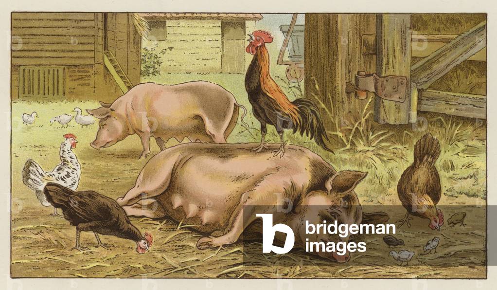 Familiarity Breeds Contempt (colour litho)