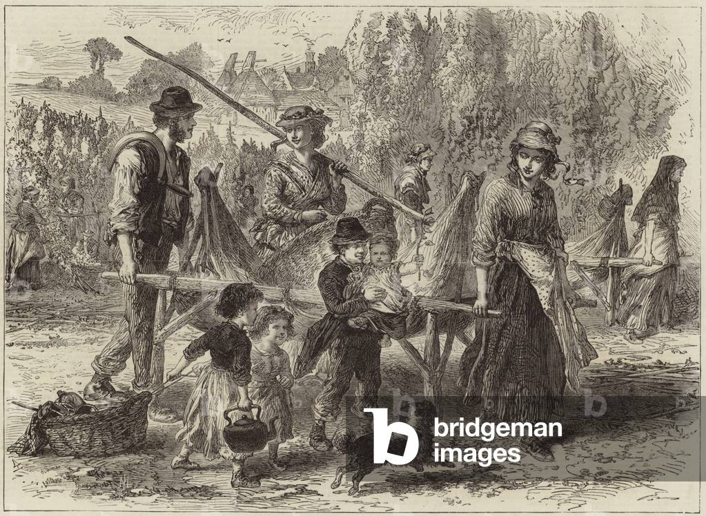 Incidents of hop gathering (engraving)