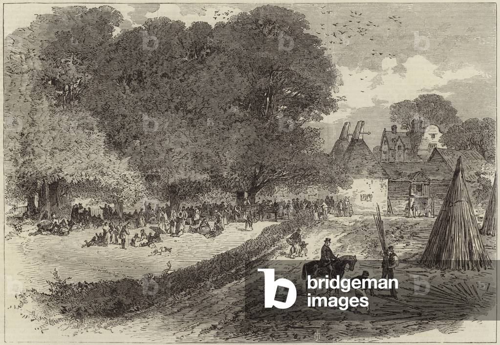 Incidents of hop gathering (engraving)