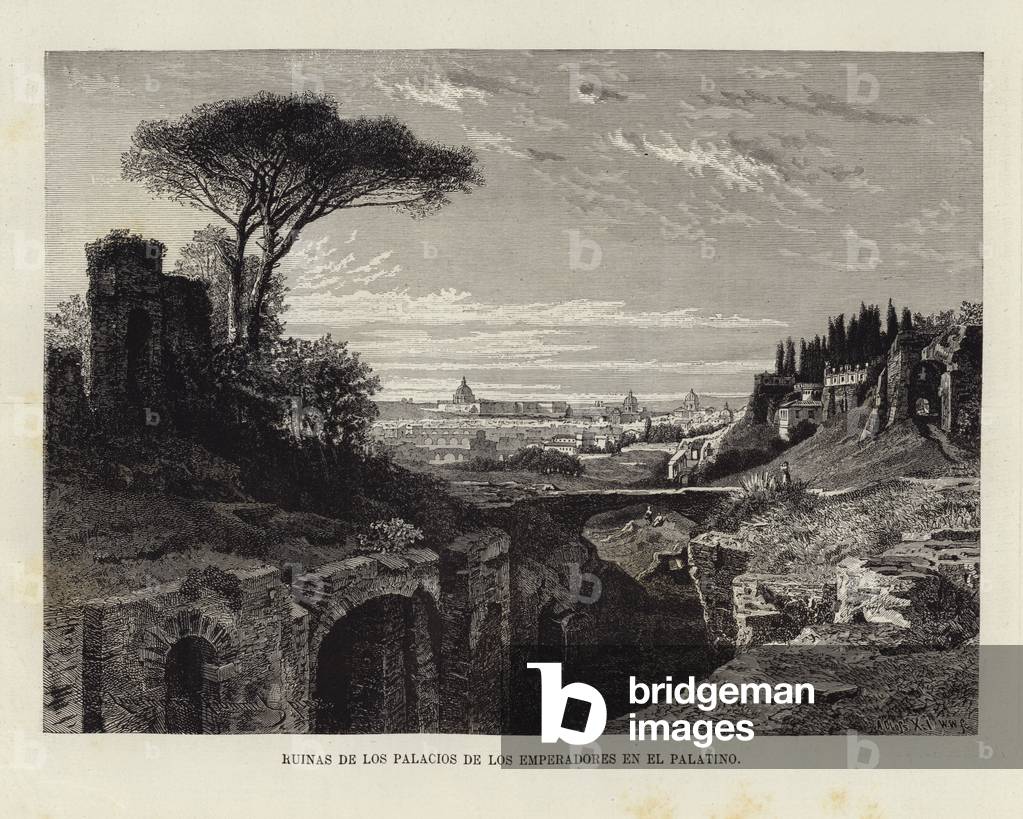 Ruins of the palaces of the emperors on the Palatine (engraving)