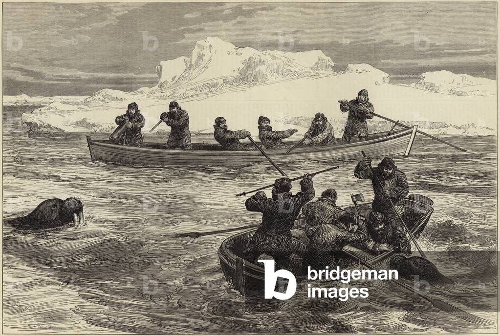 The Pandora Arctic expedition (engraving)