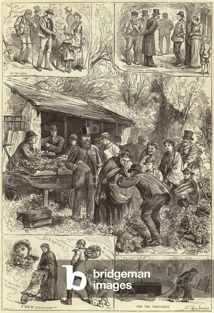 Giving away plants to the London poor at Victoria Park (engraving)