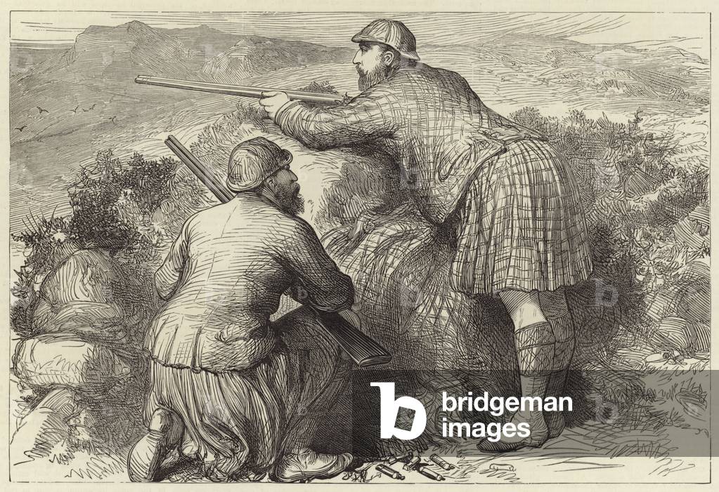 The Prince of Wales grouse shooting in the highlands (engraving)