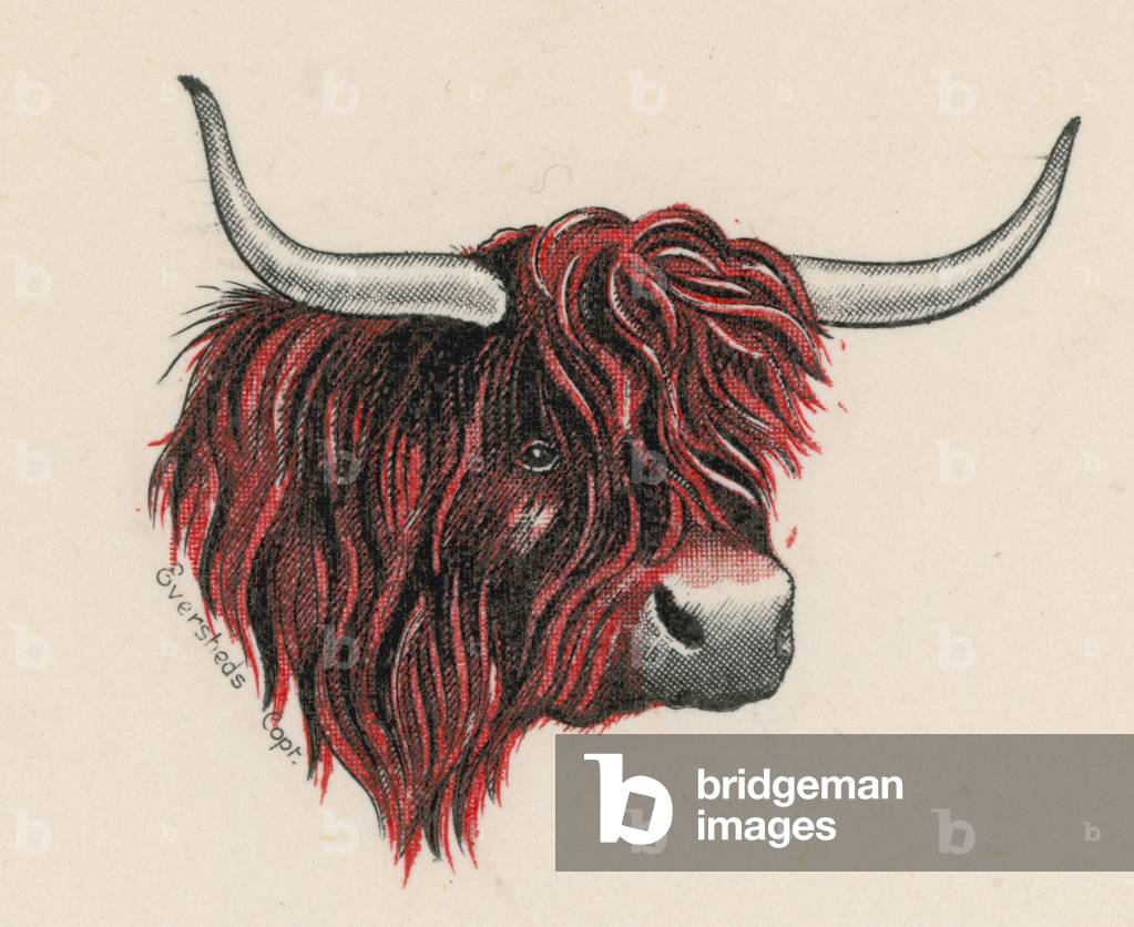 Marketing die stamp (colour litho)